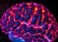 why we remember emotions more than facts